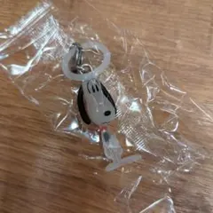スヌーピー　めじるしアクセサリー