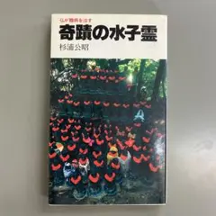 Item thumbnail for item ed8487f8-2994-4f94-aa62-045bb510fb8d