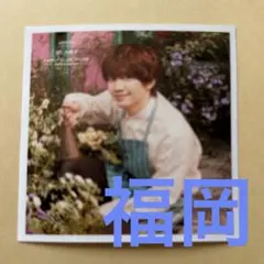 【即発送・値下げ中】なにわ男子(藤原丈一郎)ファミクラストア ましかくフォト