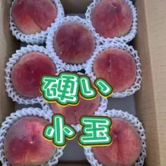 K44 山梨県産 桃 硬い小玉　朝採りたてのサムネイル