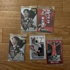 バレーボール トレーディングカードセット