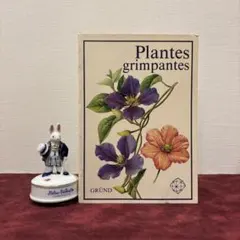 2025年最新】植物図鑑 洋書の人気アイテム - メルカリ