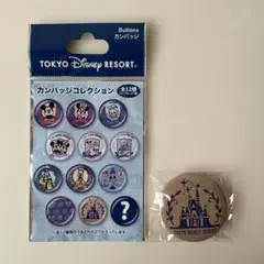ディズニーリゾート Buttons カンバッジコレクション シンデレラ城