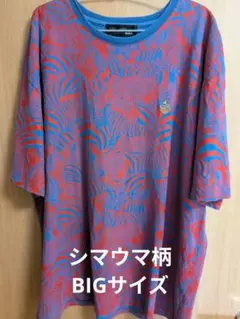 【早いもん勝ち】ALDIES ゼブラ柄 総柄 Tシャツ　アニマルデザインのサムネイル