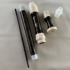 Item thumbnail for item 6ab90f08-3865-4010-a24c-c756dd38628a