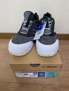 MIZUNO ALMIGHTY ES31L 安全靴 25.5cmのサムネイル