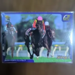 スティンガー カード