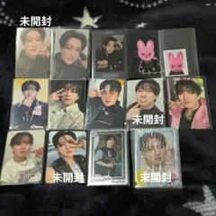 公式　Stray Kids　チャンビン　doit　KARMA　FORCE　トレカ