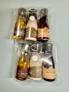 Item thumbnail for item 036938b3-a03f-45d9-93c4-f1ba95b92f54