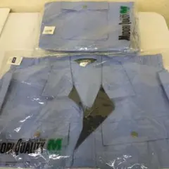 Item thumbnail for item 071fb673-a1b5-47db-a8ac-e4384f9beb52