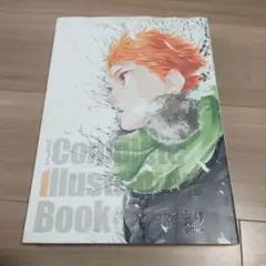 ハイキュー!! Complete Illustration book 終わりと…