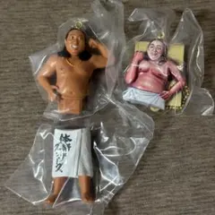 全日本プロレス50周年記念くじ 特賞 ジャイアント馬場 ジャンボ鶴田