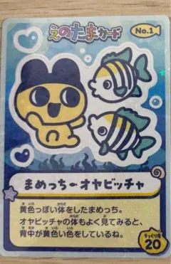 江ノ島水族館 입장자 특템 カード まめっち １枚