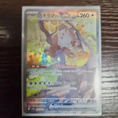 2025年最新】ガチグマアカツキex SRの人気アイテム - メルカリ