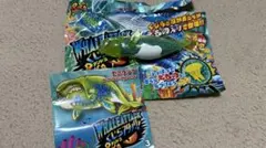くじらアタックアンドコ セミクジラのサムネイル