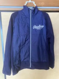 Item thumbnail for item 7b0512d1-1b29-4a1e-b68e-d938865d3143