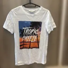 子供服同梱100円！H&M Tシャツ Tropic Breeze プリント 白のサムネイル