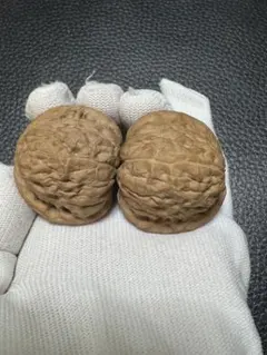 Item thumbnail for item 637faccf-fd72-4ba8-b1a9-050309869258