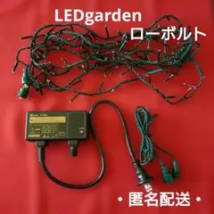 クリスマスライト