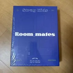 straykids シーグリ　2022