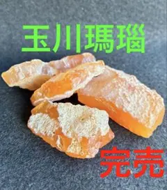 玉川瑪瑙と珪化木国産鉱物や原石No.633 - メルカリ