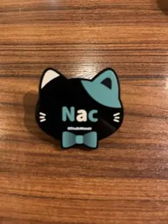 2026年最新】ナックシュタインの人気アイテム - メルカリ