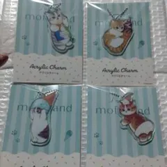 mofuland アクリルチャーム 猫 4個セット