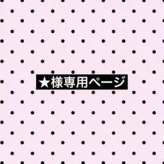 専用ページ ジュンソ