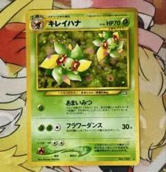 ぽんすけ様 リクエスト 2点 まとめ商品