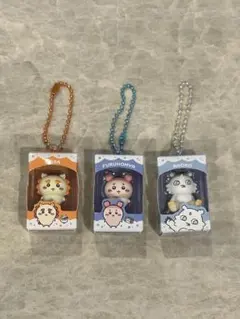 ちいかわ チョコボックス シーサー 古本屋 あのこ 3個セット