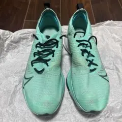 Item thumbnail for item ff51df2a-f917-4974-b191-86cbcabd35fe