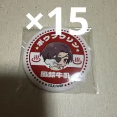 WIND BREAKER ウィンブレ 蘇枋 隼飛 極楽湯 缶バッジ ×15