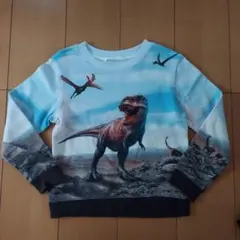 Item thumbnail for item 13aa8449-f7fe-49b1-88ca-20fbd05da4a7