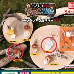 おさわり探偵 なめこ栽培キット めじるしアクセサリー2 白なめこ ななめこ