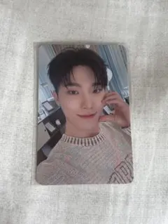 SEVENTEENディノトレカ CARAT LAND