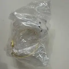 うちの子のけだまだま　ポメラニアン