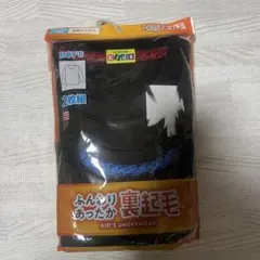 Item thumbnail for item 64ceafdd-cc61-4182-9e0e-e3942db6ded5