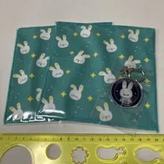 Item thumbnail for item ae6342e3-e6d4-42c0-b9c4-5bcd79fdd29d