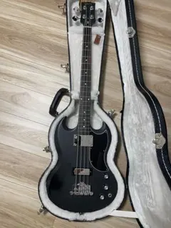 2026年最新】gibson sg ハードケースの人気アイテム - メルカリ