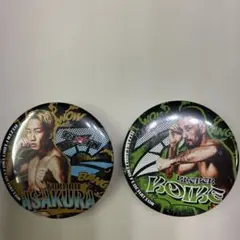 Item thumbnail for item a348c173-9428-404e-a12e-ebbfdba0186f