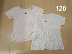 120サイズ Tシャツ 2枚セット