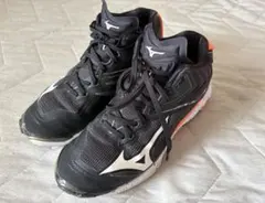 Mizuno バレーボールシューズ　24.5㎝