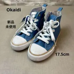 Item thumbnail for item 5fa51fe6-e5ad-477b-ae09-4e637fb597ce