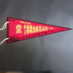 第86回全国高校野球選手権記念大会　 市立和歌山商業高校 記念ペナント