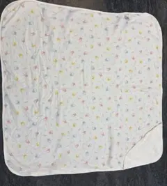 Item thumbnail for item 78038c09-fd35-4713-b82c-97f44f625106