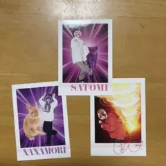 コロコロコミック5月号付録　すとぷり小学校生写真カード　3枚