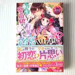 ライトノベル整理　転生して豪商娘だったのに後宮入りですか？　ラノベ