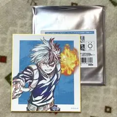 【ヒロアカ】轟焦凍（Ani-Art 第5弾 ミニ色紙）