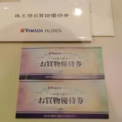 ヤマダ電機　お買物優待券　10000円ぶん