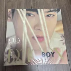 2025年最新】チャウヌ dicon boy 写真集の人気アイテム - メルカリ